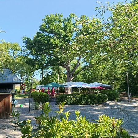 Hotel Schloesschen Sundische Wiese Zingst Eksteriør bilde