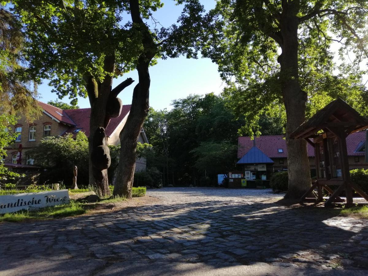 Hotel Schloesschen Sundische Wiese Zingst Eksteriør bilde